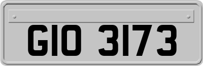 GIO3173