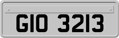 GIO3213