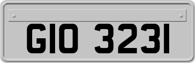 GIO3231
