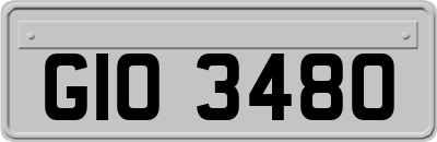 GIO3480