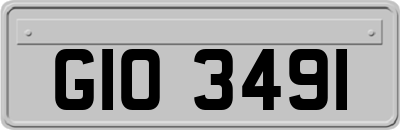 GIO3491