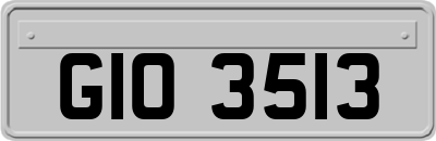 GIO3513