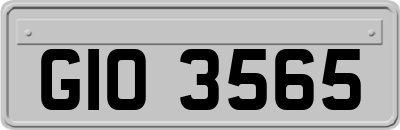 GIO3565