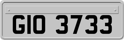 GIO3733