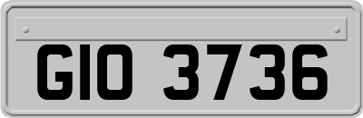 GIO3736