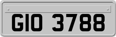 GIO3788