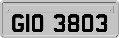 GIO3803