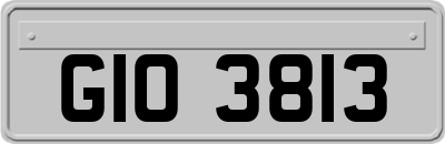 GIO3813