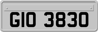 GIO3830