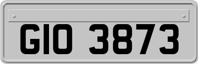 GIO3873