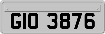 GIO3876