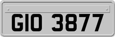 GIO3877