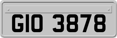 GIO3878