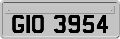 GIO3954