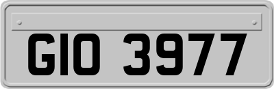 GIO3977