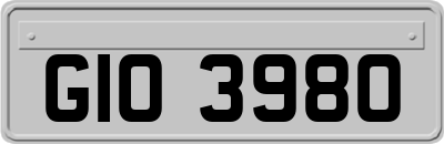 GIO3980