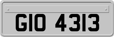 GIO4313