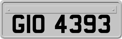 GIO4393