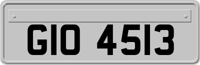 GIO4513