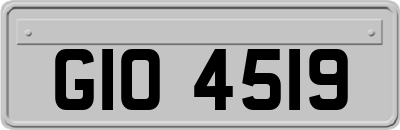 GIO4519