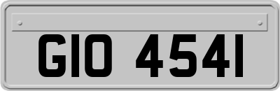 GIO4541