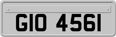 GIO4561