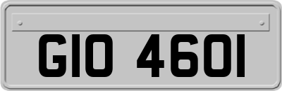 GIO4601