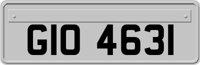 GIO4631