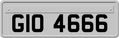 GIO4666
