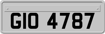 GIO4787