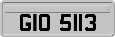 GIO5113