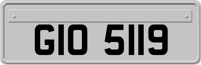 GIO5119