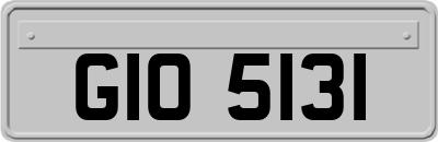 GIO5131