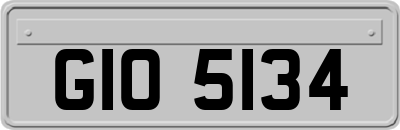 GIO5134