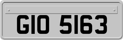 GIO5163