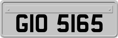 GIO5165