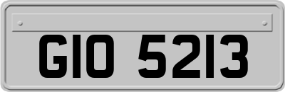 GIO5213