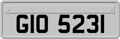 GIO5231