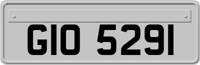 GIO5291