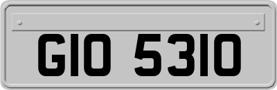 GIO5310