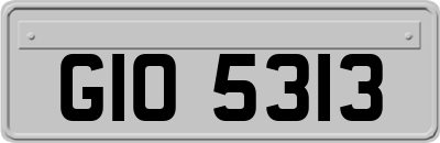 GIO5313