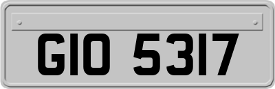GIO5317
