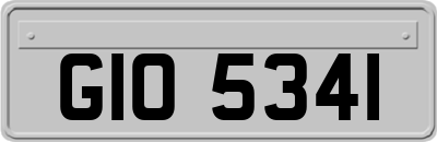 GIO5341