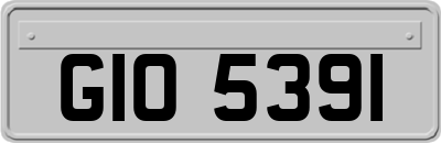 GIO5391