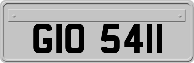 GIO5411