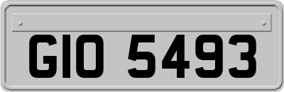GIO5493