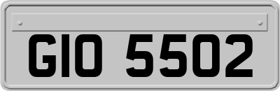 GIO5502