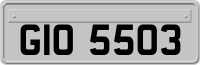 GIO5503
