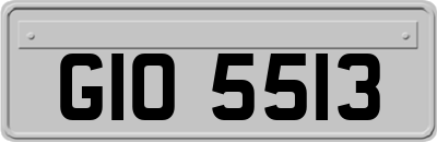 GIO5513