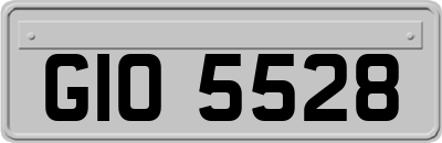 GIO5528